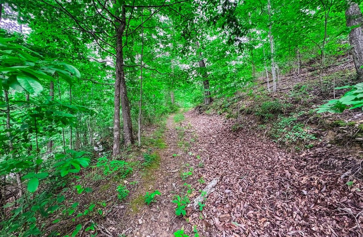 Clay, WV 14.839 AC-04