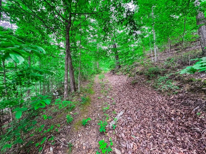 Clay, WV 14.839 AC-04