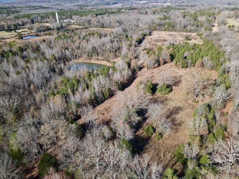 dji_fly_20251130_130734_873_1764614998036_photo