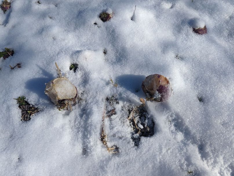 PXL_20230202_163352085