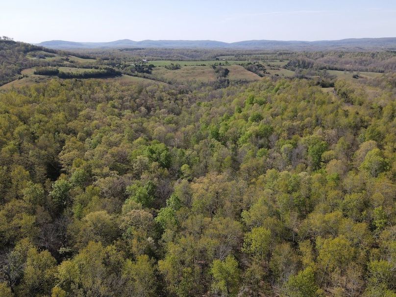 DJI_0325