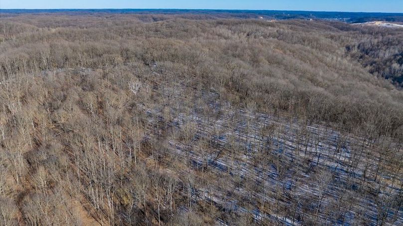 097-z 17250 Campbell149