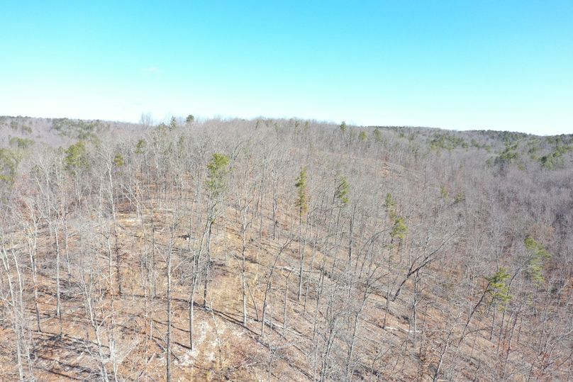 DJI_0919