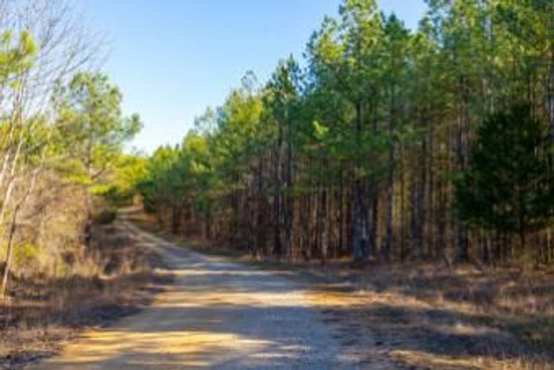 MCKINNON TRACT 19-14