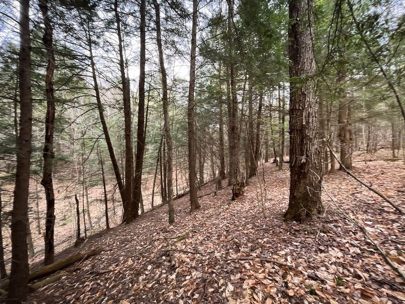 Tioga_76.65_Matyjas_Photos_32