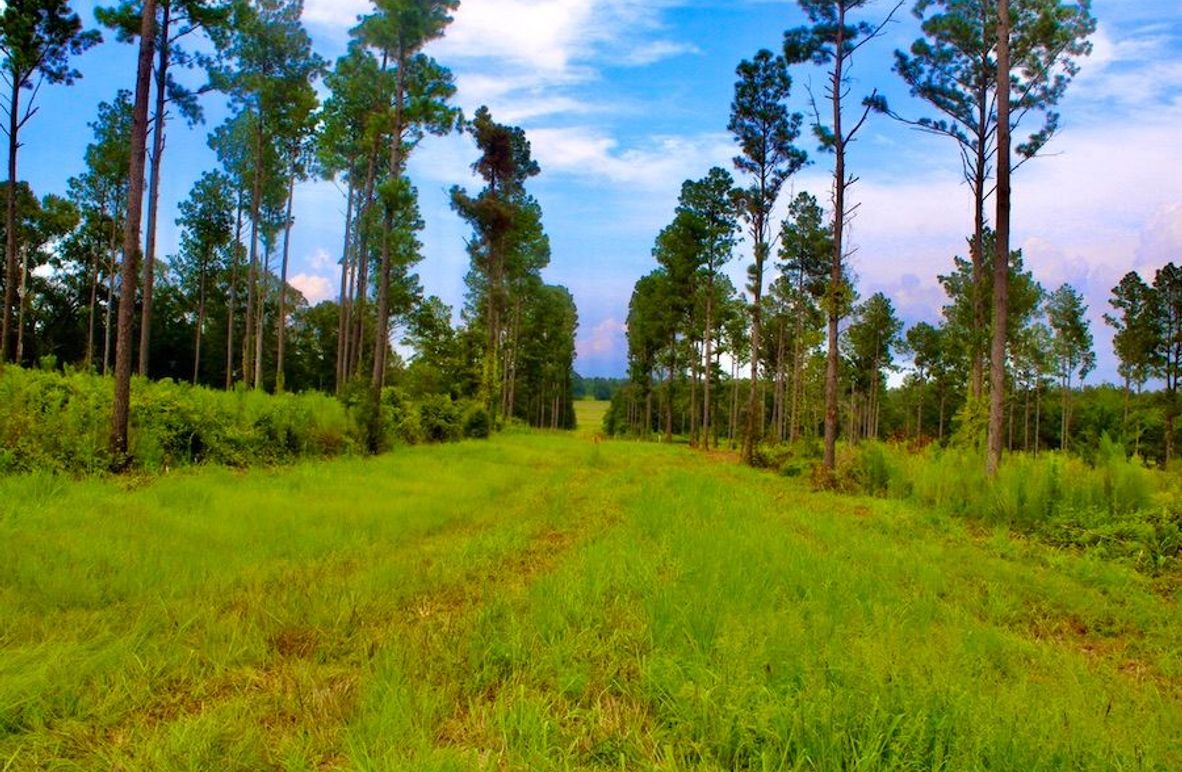 3BC5D9AC-E6EC-4388-9ACA-A979A9767231_1_105_c