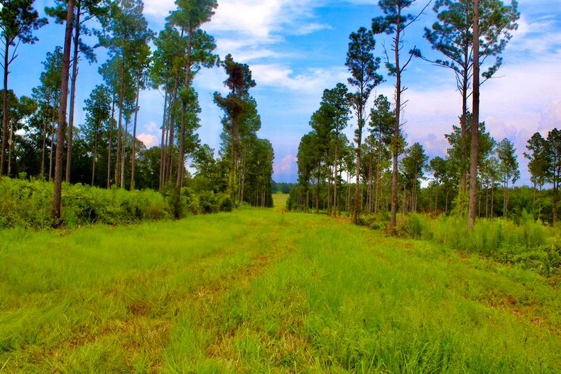 3BC5D9AC-E6EC-4388-9ACA-A979A9767231_1_105_c