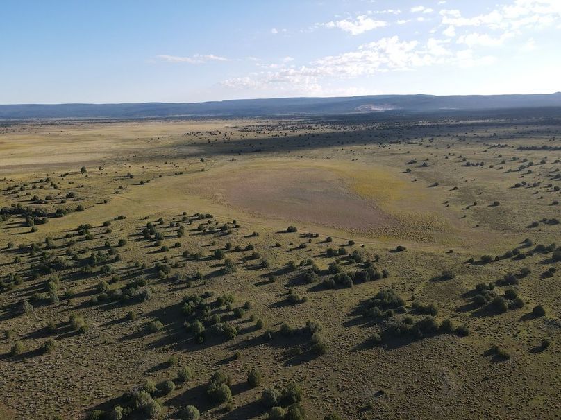 dji_fly_20240816_074756_506_1723816106057_photo