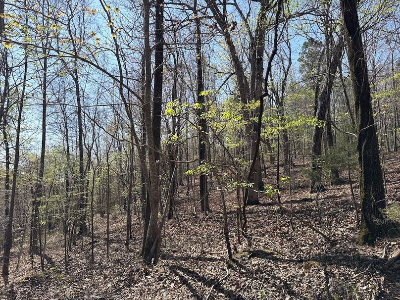 DJI_20260326_110619_510