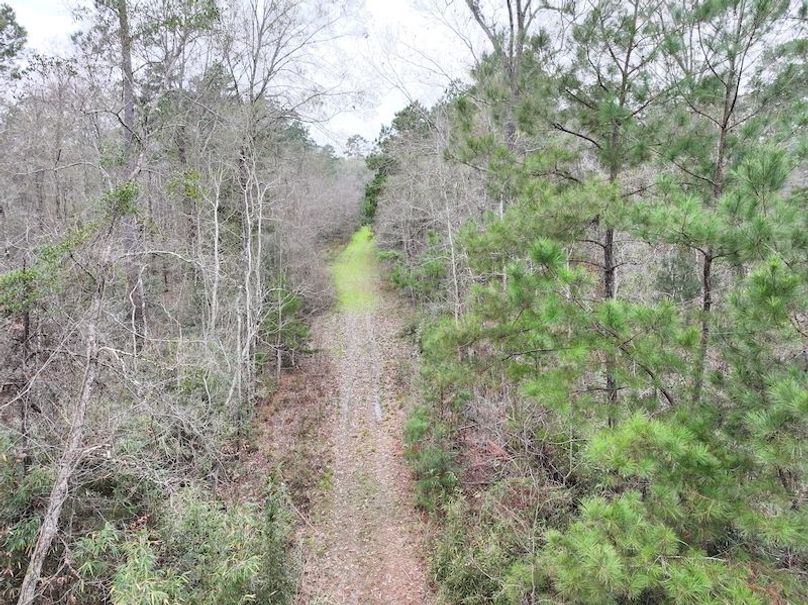 dji_fly_20260123_131632_0936_1769444775522_photo