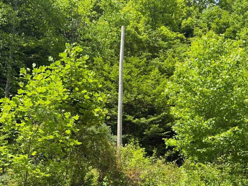 017 power pole still standing located a short distance into the property