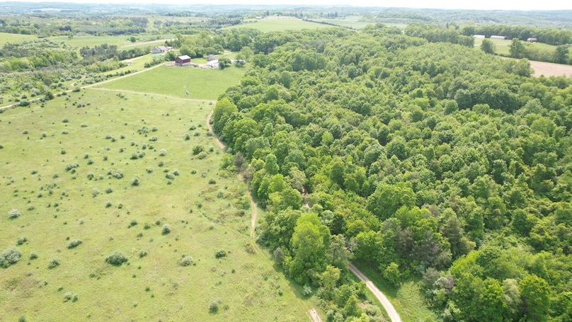 dji_fly_20250602_111836_278_1748877824165_photo