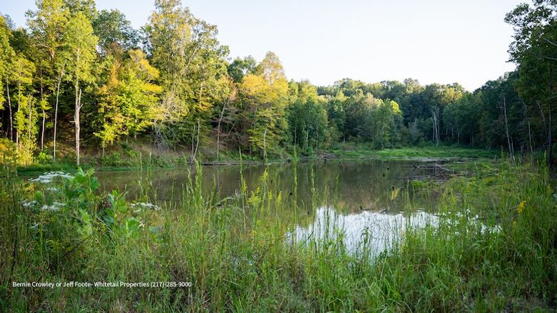 Tallahatchie 847 Messina-34