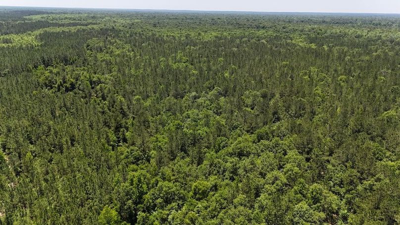 DJI_20240516124157_0016_D