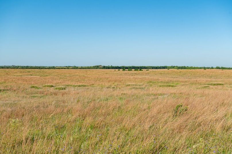 Kiowa Co Ks 198-59