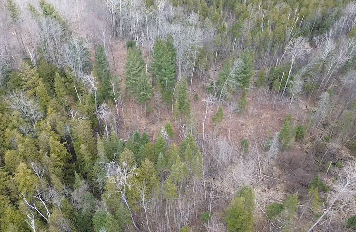 2025-04-07-15-49-19-046