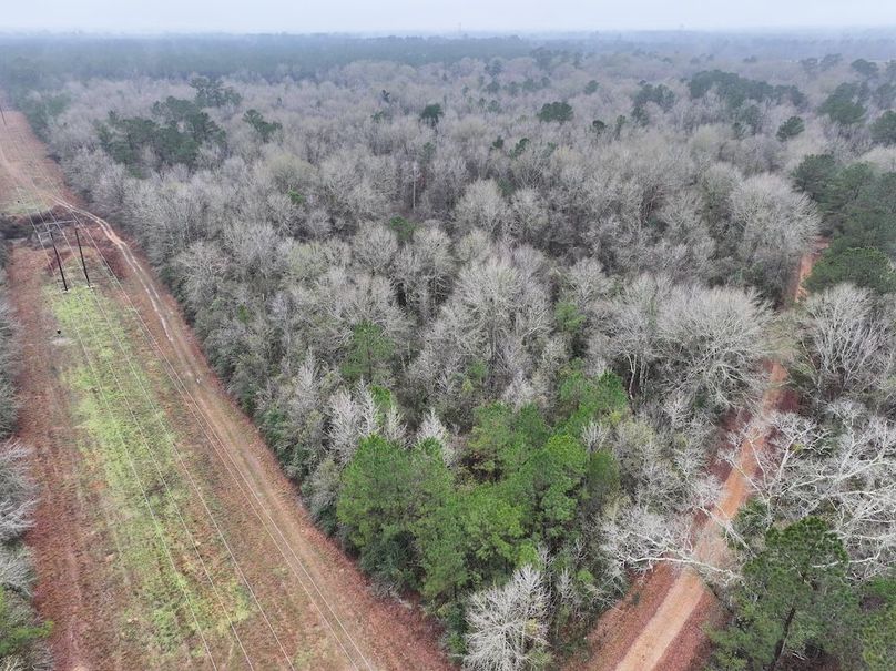 dji_fly_20260122_090804_0834_1769444822594_photo