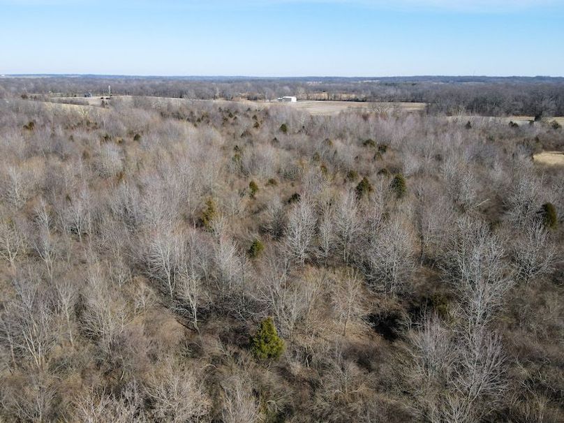 vandalia 450 (2)-1805