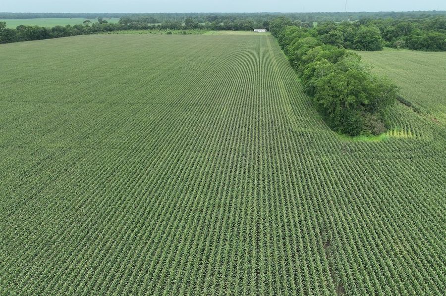 dji_fly_20240620_102414_548_1718899057288_photo