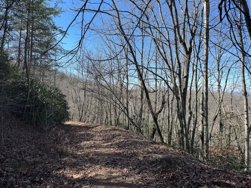 025_Clay 124.76 Fleaback-14