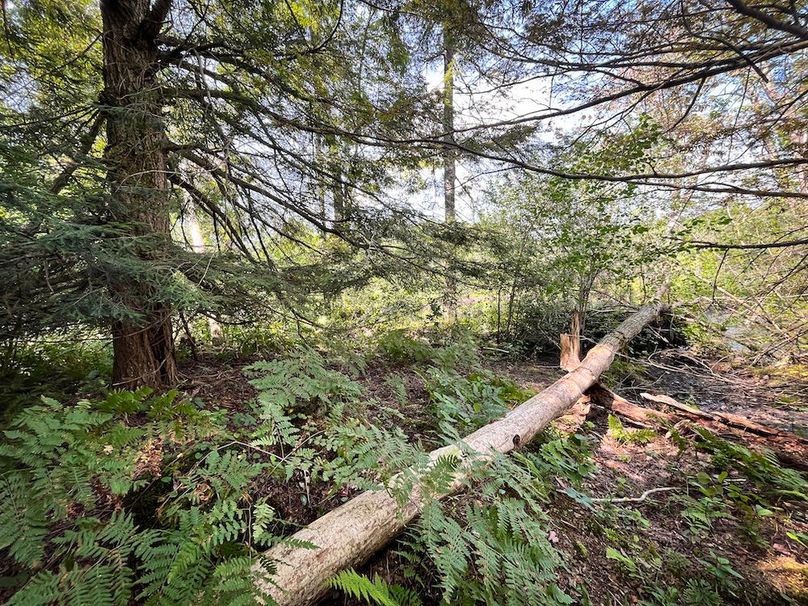 Oswego_100_Roof_Photos_56