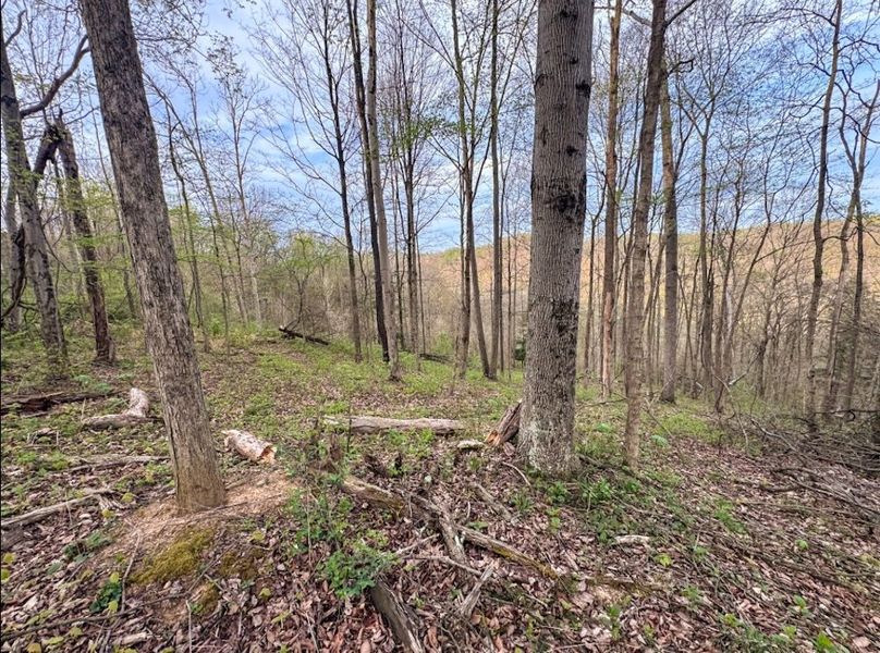 Screenshot 2026-04-21 at 11.36.30 AM