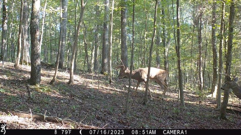 trail cam27
