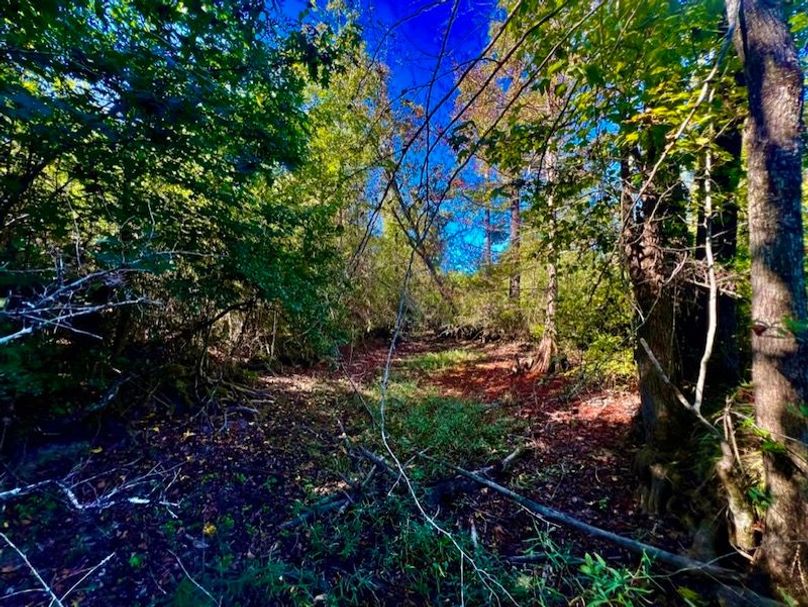 6C6B0AE2-4FB2-42BE-B704-1C216D22C652_1_105_c