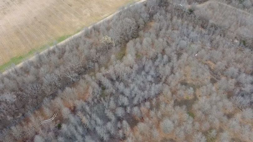 2024-02-29-15-45-47-751