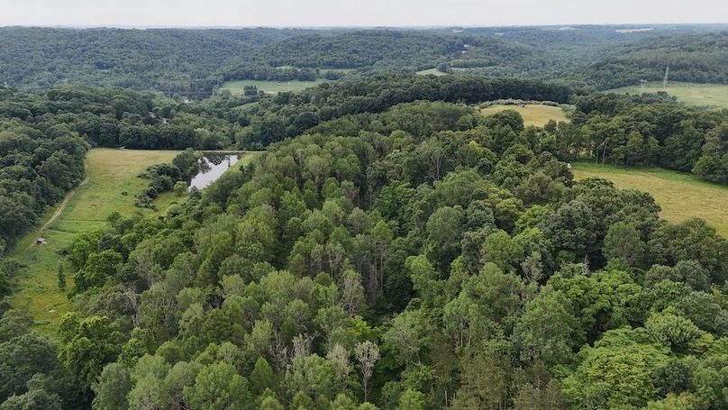 DJI_20240614112627_0178_D