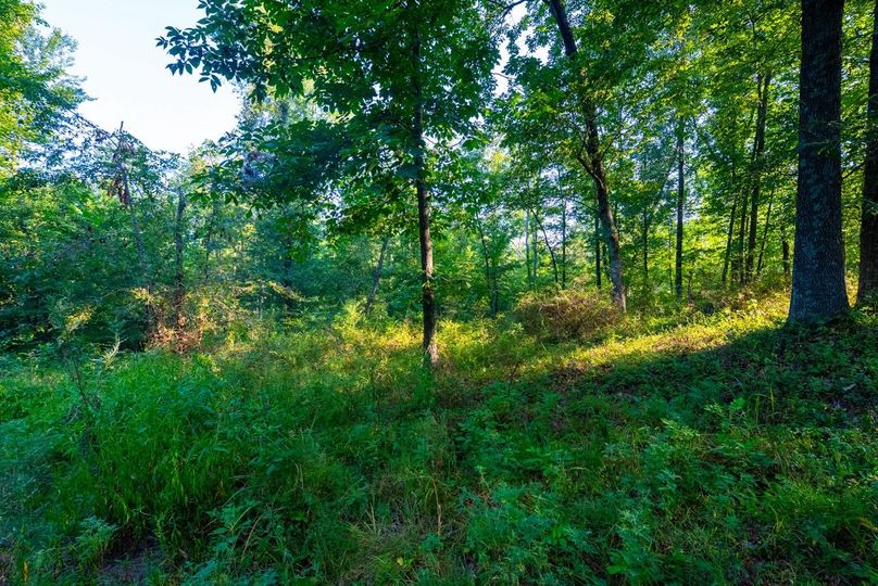 Copy of DSC06271 Large