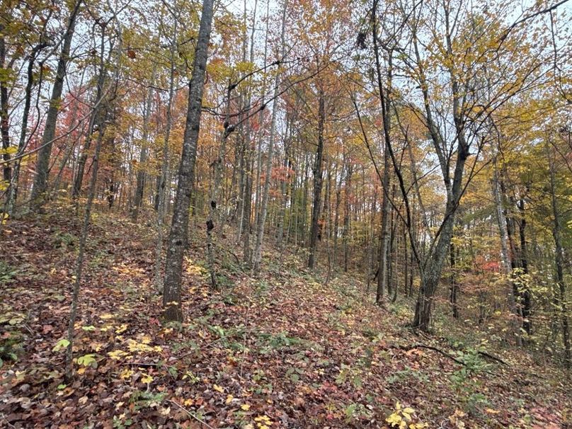 019 North Facing Slope Coming from the highest point-2