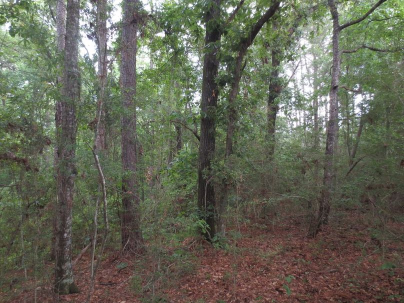 23EB311D-CFDD-4699-A76E-A1B330FA46F8_1_105_c