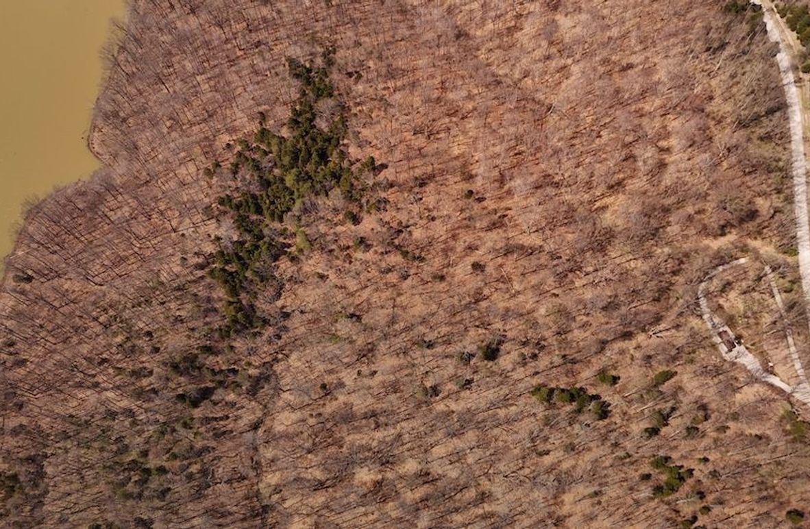 dji_fly_20250401_132834_0928_1743528472390_photo