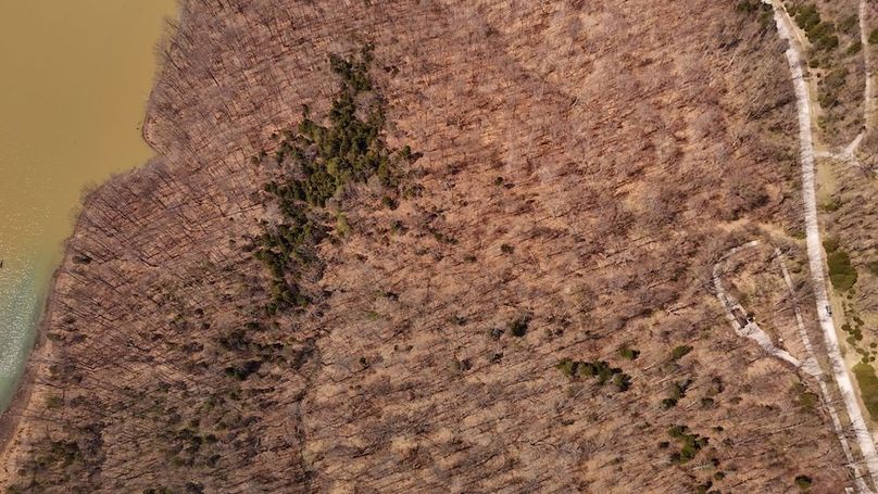 dji_fly_20250401_132834_0928_1743528472390_photo