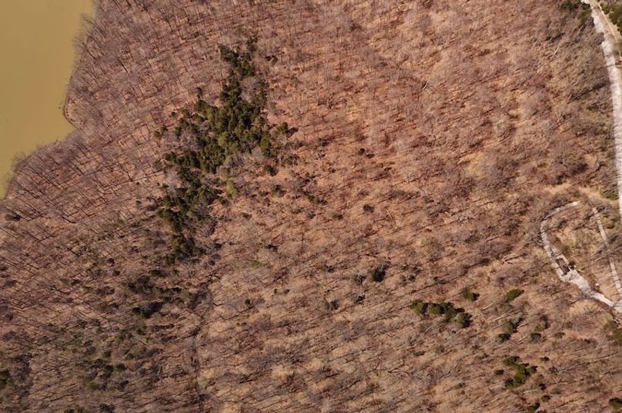 dji_fly_20250401_132834_0928_1743528472390_photo