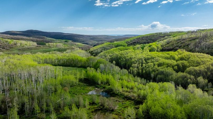 DJI_0587-HDR