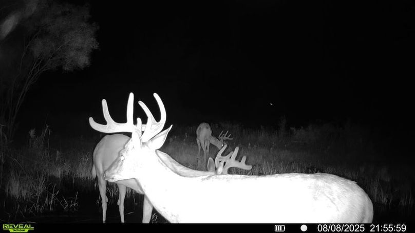 016579000262944-52-3-08082025215559-SYFW01115