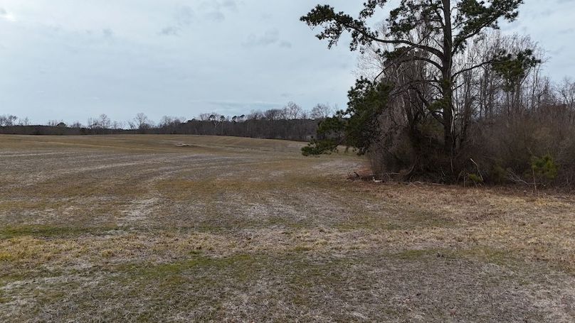 dji_fly_20260218_164420_0026_1771452057963_photo