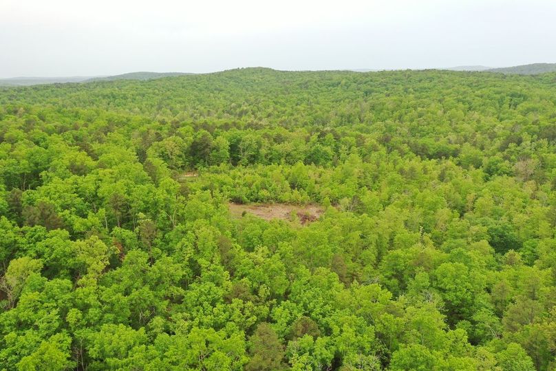 DJI_0795