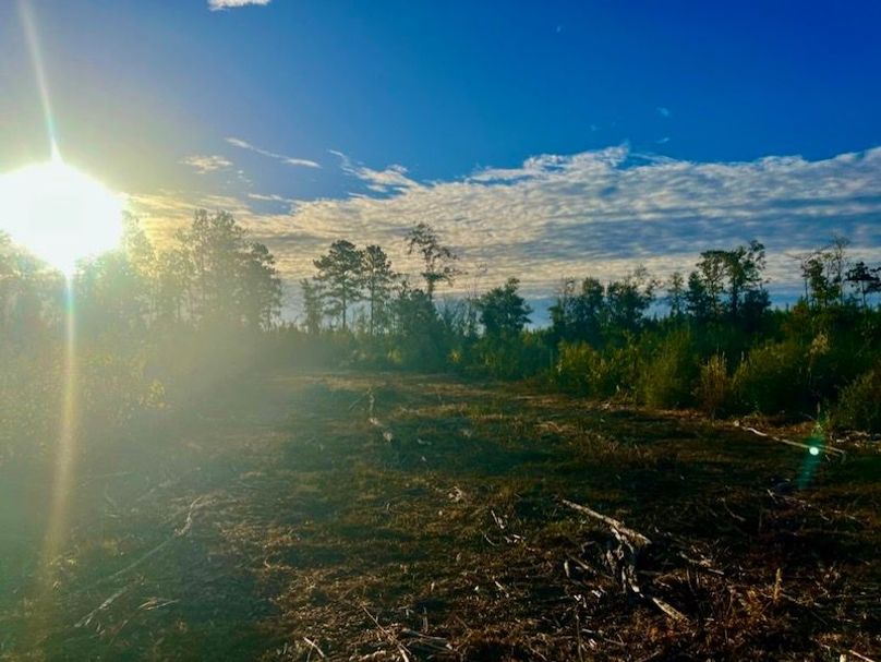 CF613459-0886-4FA6-8DBC-1A01347BA149_1_105_c