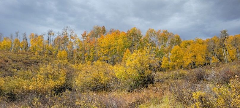 Copy of 20231011_110421