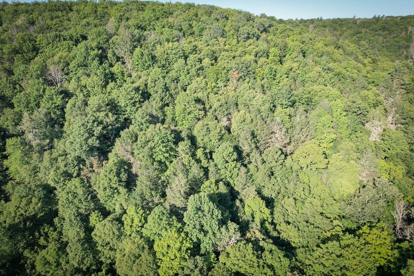 Tioga_82.5_Williams_Photos_30