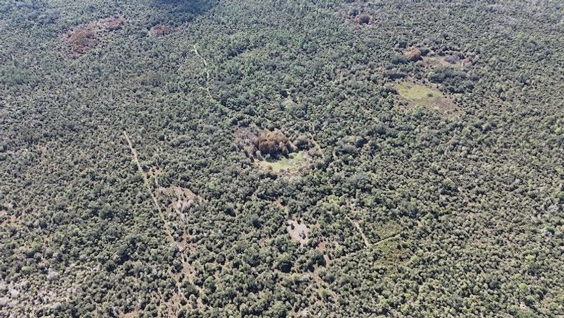 DJI_20251121121251_0007_D