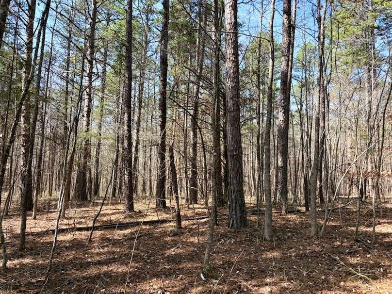 06FF290F-4FE1-4C03-A1D0-7EA692450FA9_1_105_c