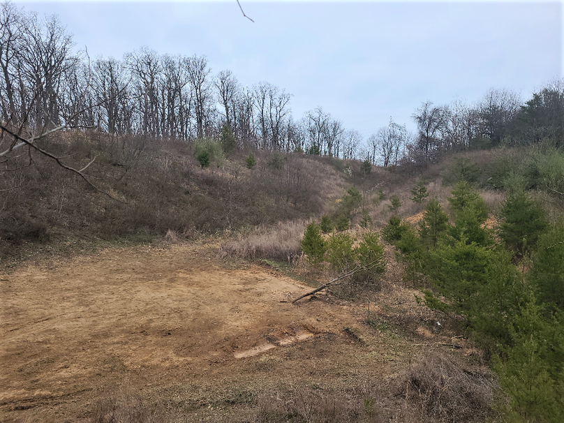 2.87ac_CokesburyRd_CECIL_PIC_003