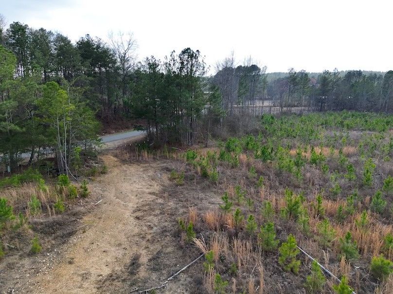 DJI_20260303144351_0001_V