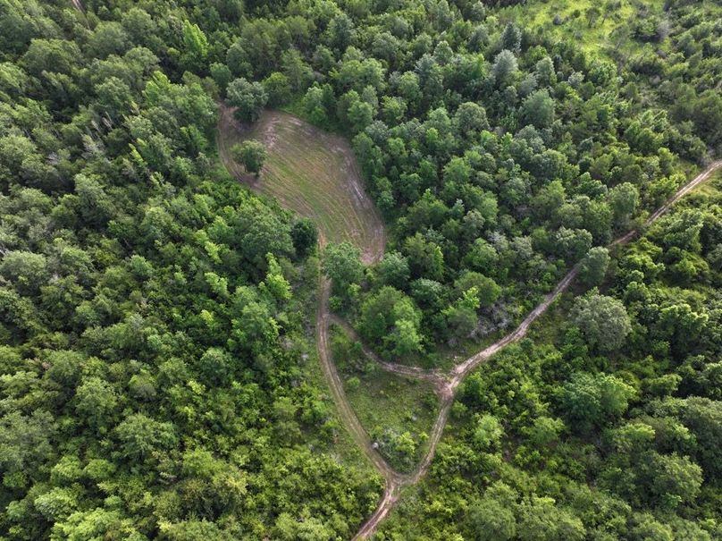 dji_fly_20250612_080414_0089_1750261390289_photo