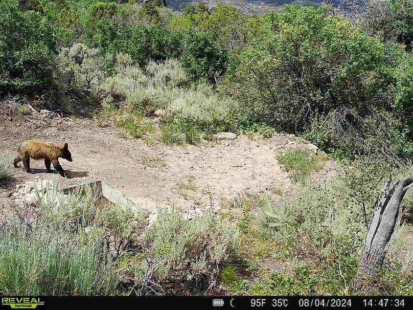 860516060007964-100-2-08042024144734-V-W1003016