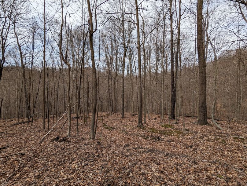 PXL_20230213_162047998